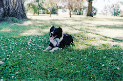 PAMPA