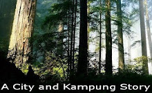 Visit A City and Kampung Story Here