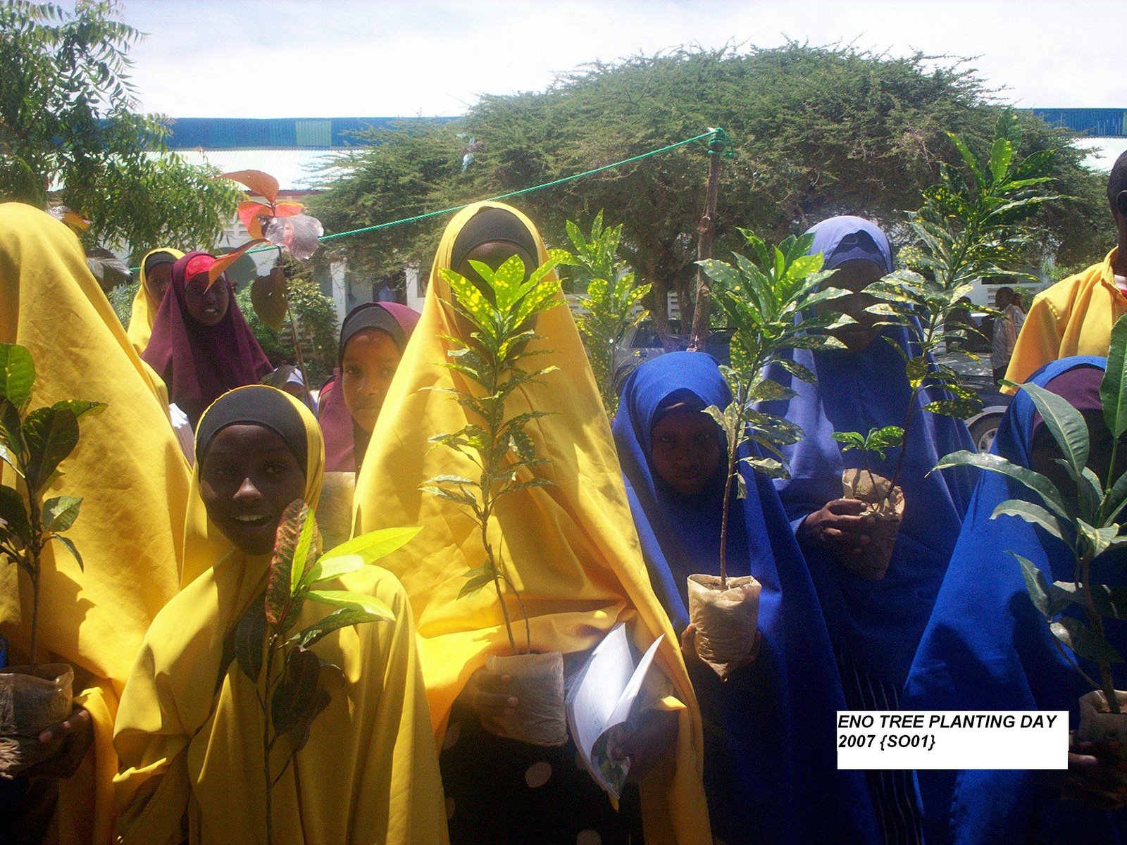 ENO Tree Planters in Hargeisa, Somaliland. Sustainable development