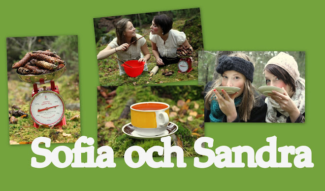 Sofia och Sandra