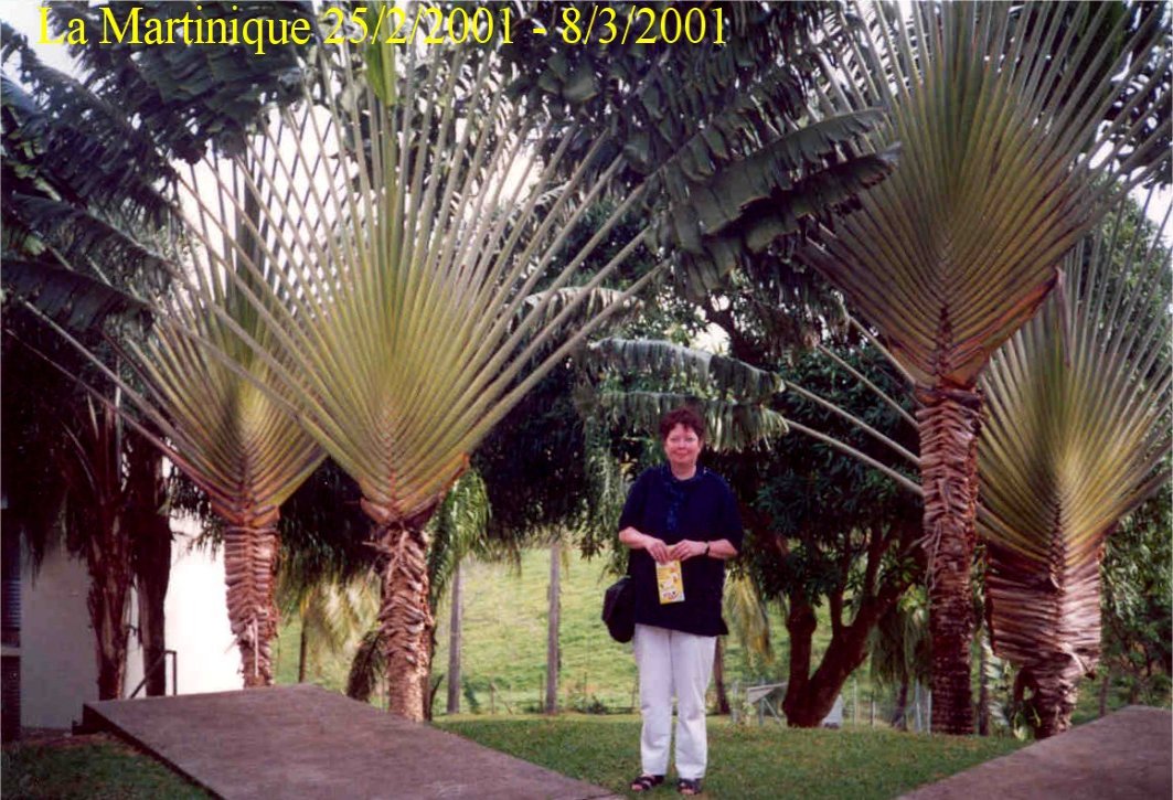Martinique 2001