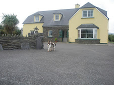 OUR HOUSE AND DOG