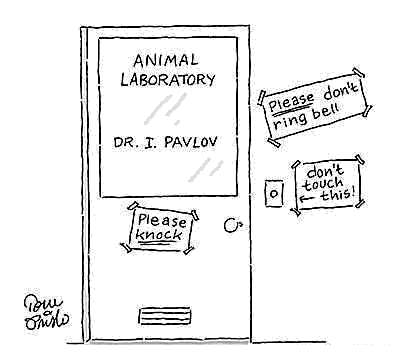 Pavlov Dog Experiment