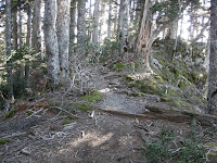 往西峰路途