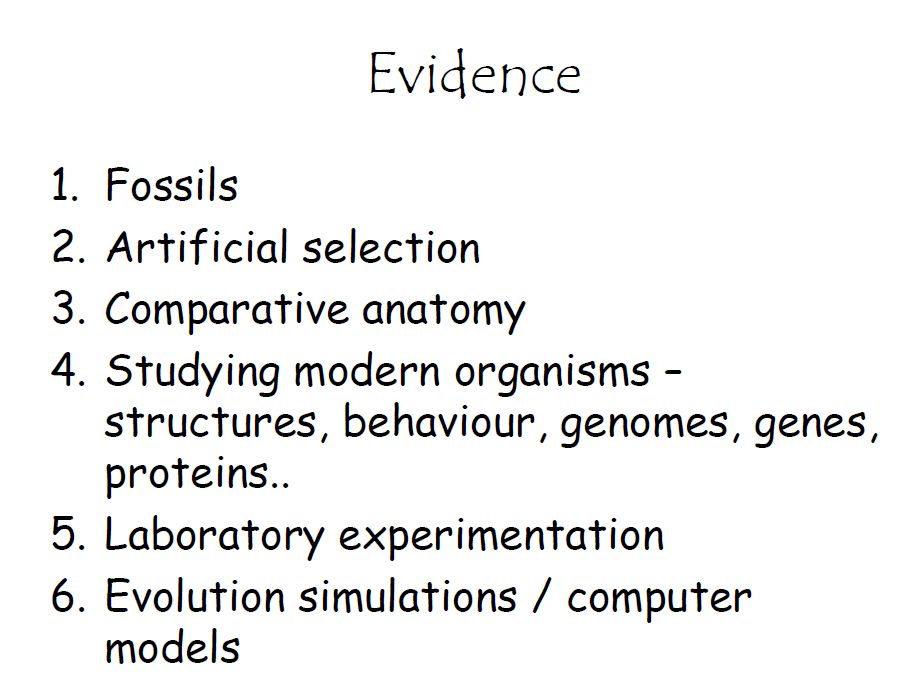 IB Notes 1 Taxonomy levels, 2. Evidence for Evolution