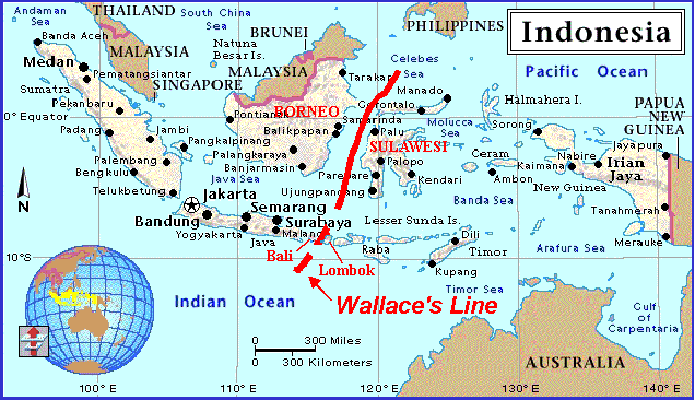 Wallace Line