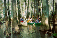 Wolf River Canoe Trips