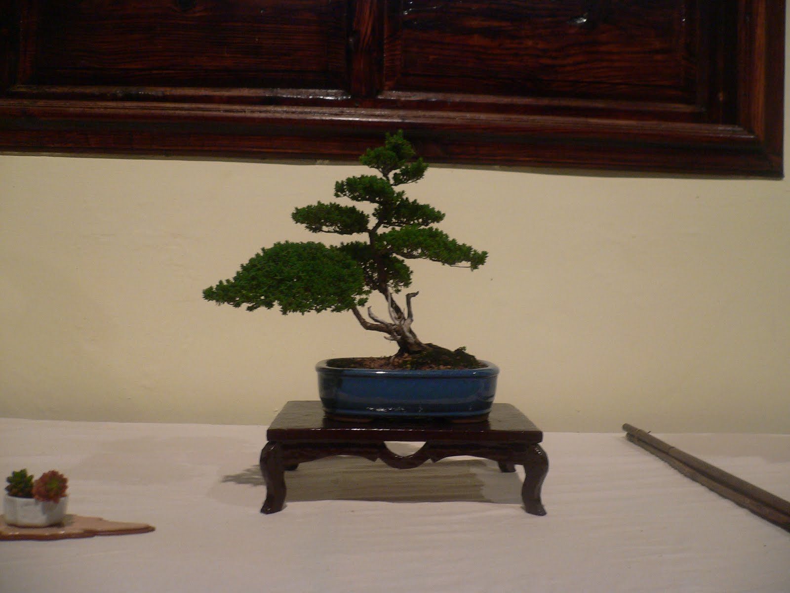 [P1020769.JPG]