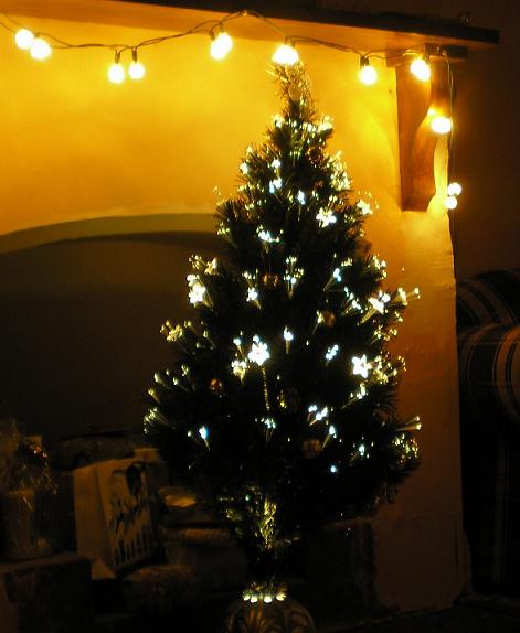 [PC201119.JPG]