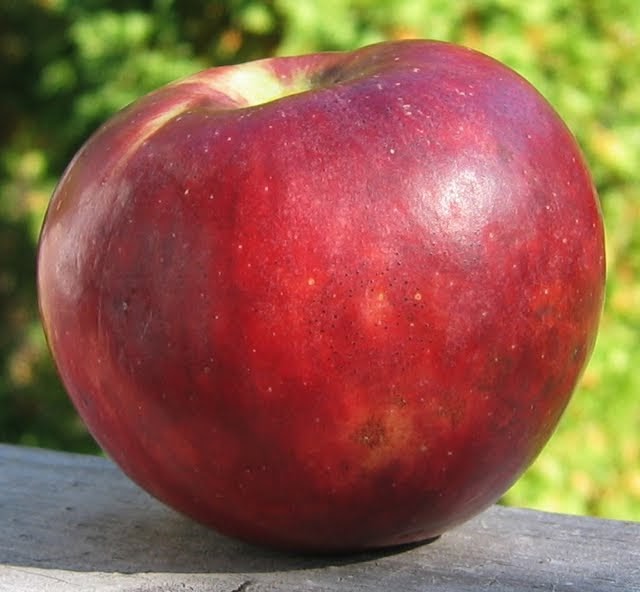 Adam's Apples Liberty