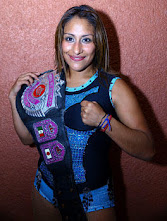 fabi apache