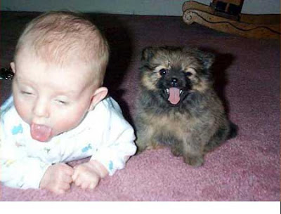 baby Alles Kan Beter funny pics Funny baby Baby Pictures Cute A Woman: Funny Baby Names List lol picture