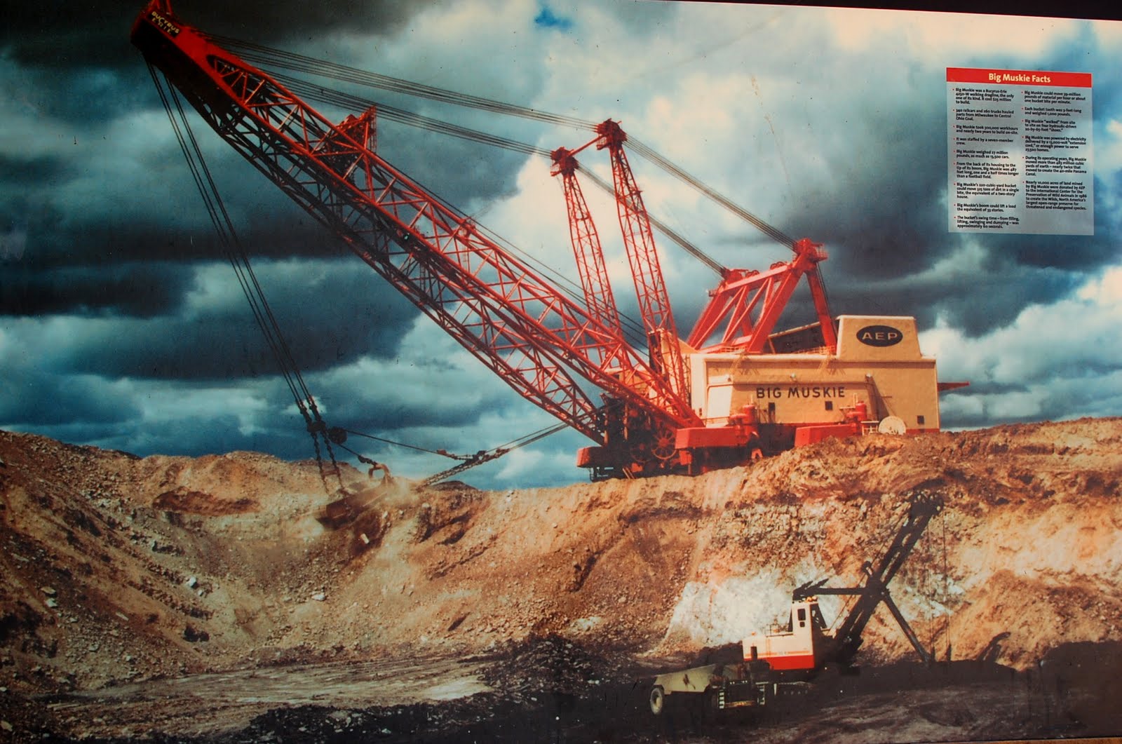 It's A Girlie World Big Muskie Bucket