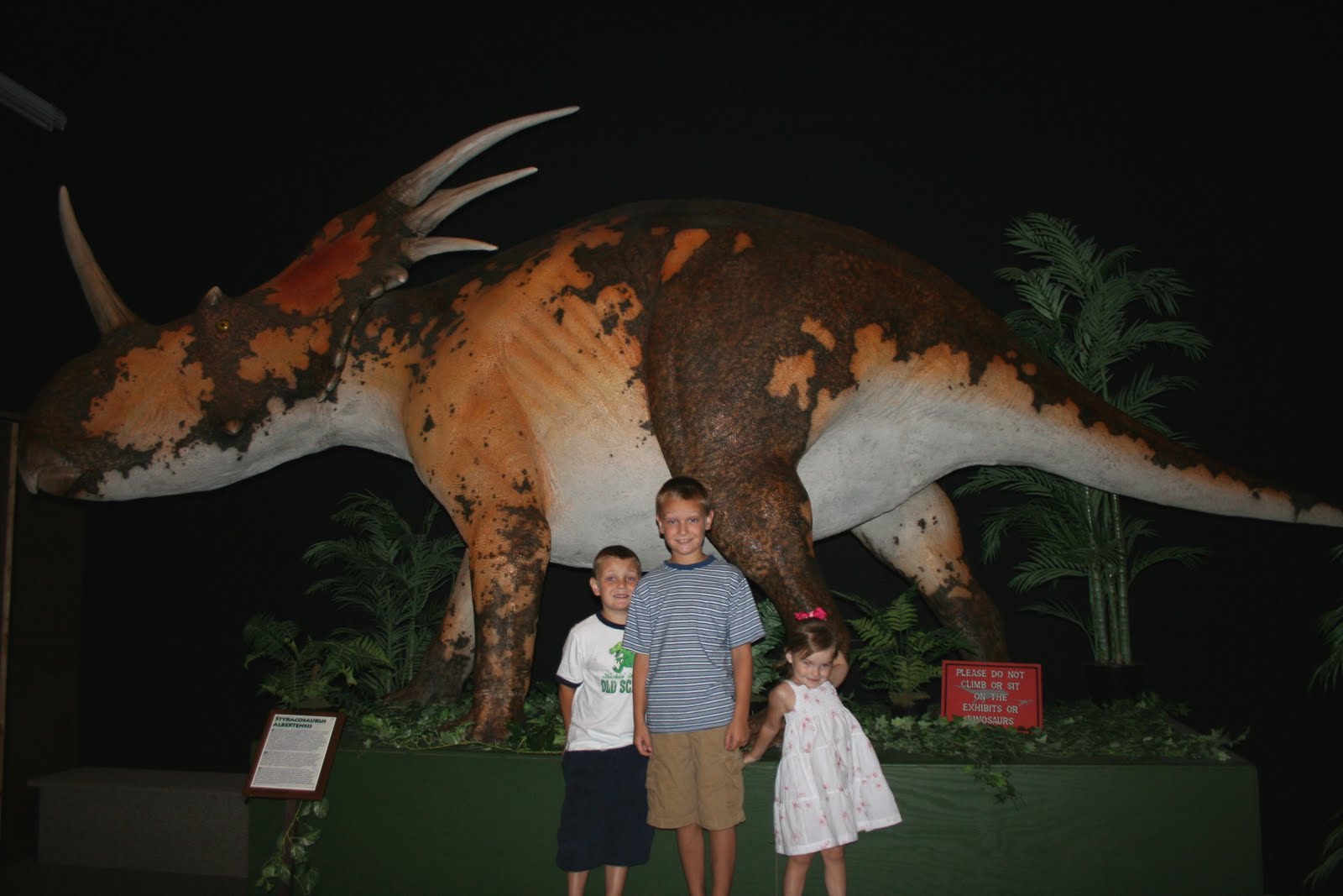 The Logan's Dinosaur Museum