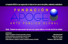 Fundación Apogeo.