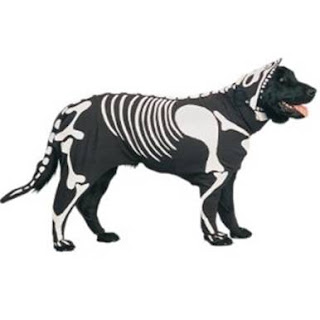 dog halloween