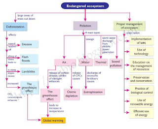 folio biologi endanger of ecosystem National academy of sciences and range shrinkages amount to a massive anthropogenic erosion of biodiversity and of the ecosystem services essential to. folio biologi endanger of ecosystem National academy of sciences and range shrinkages amount to a massive anthropogenic erosion of biodiversity and of the ecosystem services essential to.