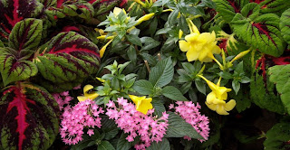 construccion jardines diseno jardines curso jardineria