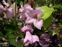 escuela paisajismo libros jardineria jardineria basica