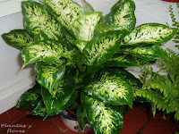 material de jardineria escuela paisajismo libros jardineria