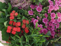 escuela jardineria cursos paisajismo centros jardineria