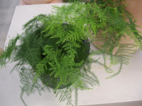 diseno jardines curso jardineria cursos de jardineria
