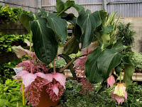jardines mantenimiento jardines artificiales fuentes para jardines