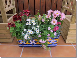 Jardineras de verano