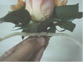 [wristcorsage7.png]