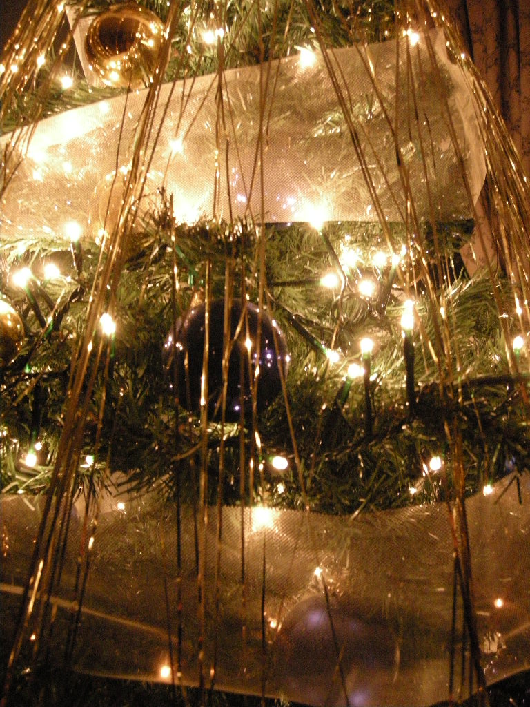 [albero+nostro.JPG]