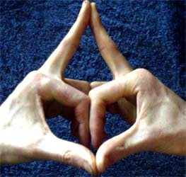 Surabhi mudra Vježba za inteligenciju