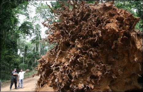 [_45899421_img_1074.jpg]