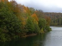 Otoño en el Embalse de Irabia