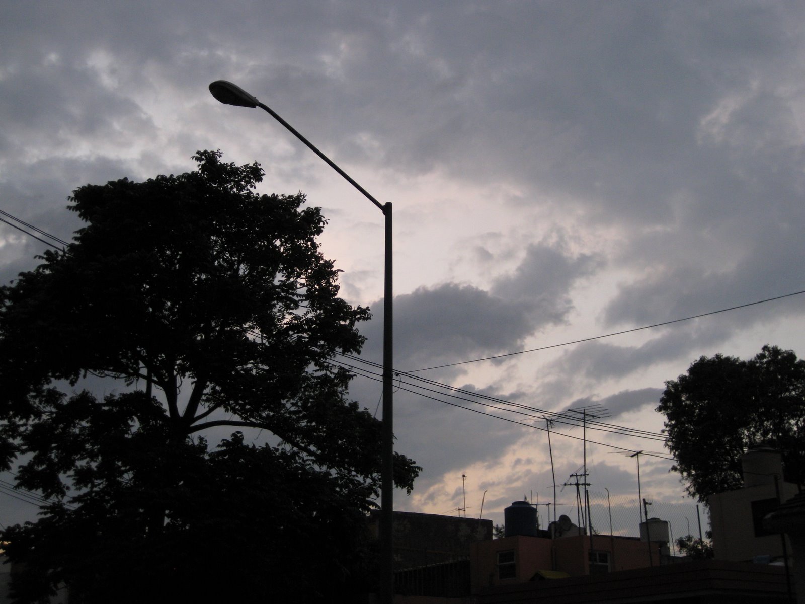 [IMG_2146.JPG]