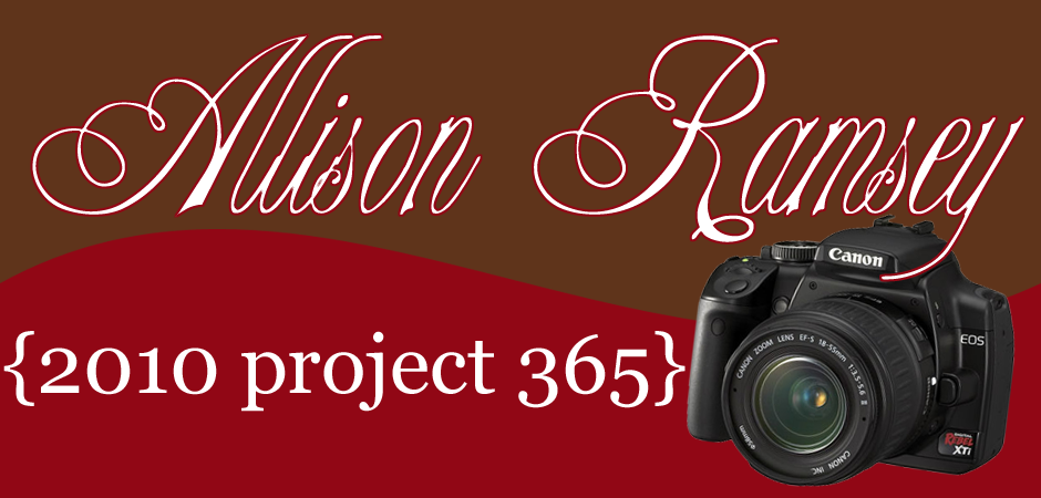 Project 365