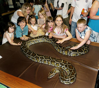 large snake pictures