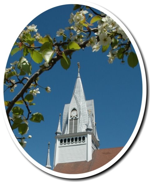 [bluebonnet_church1.jpg]