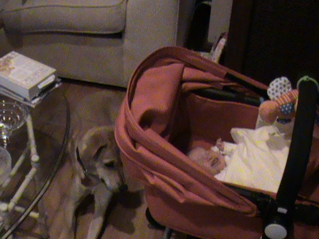 A concerned big brother watches over a grumpy Lauren