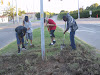 CTE at Shartel Median