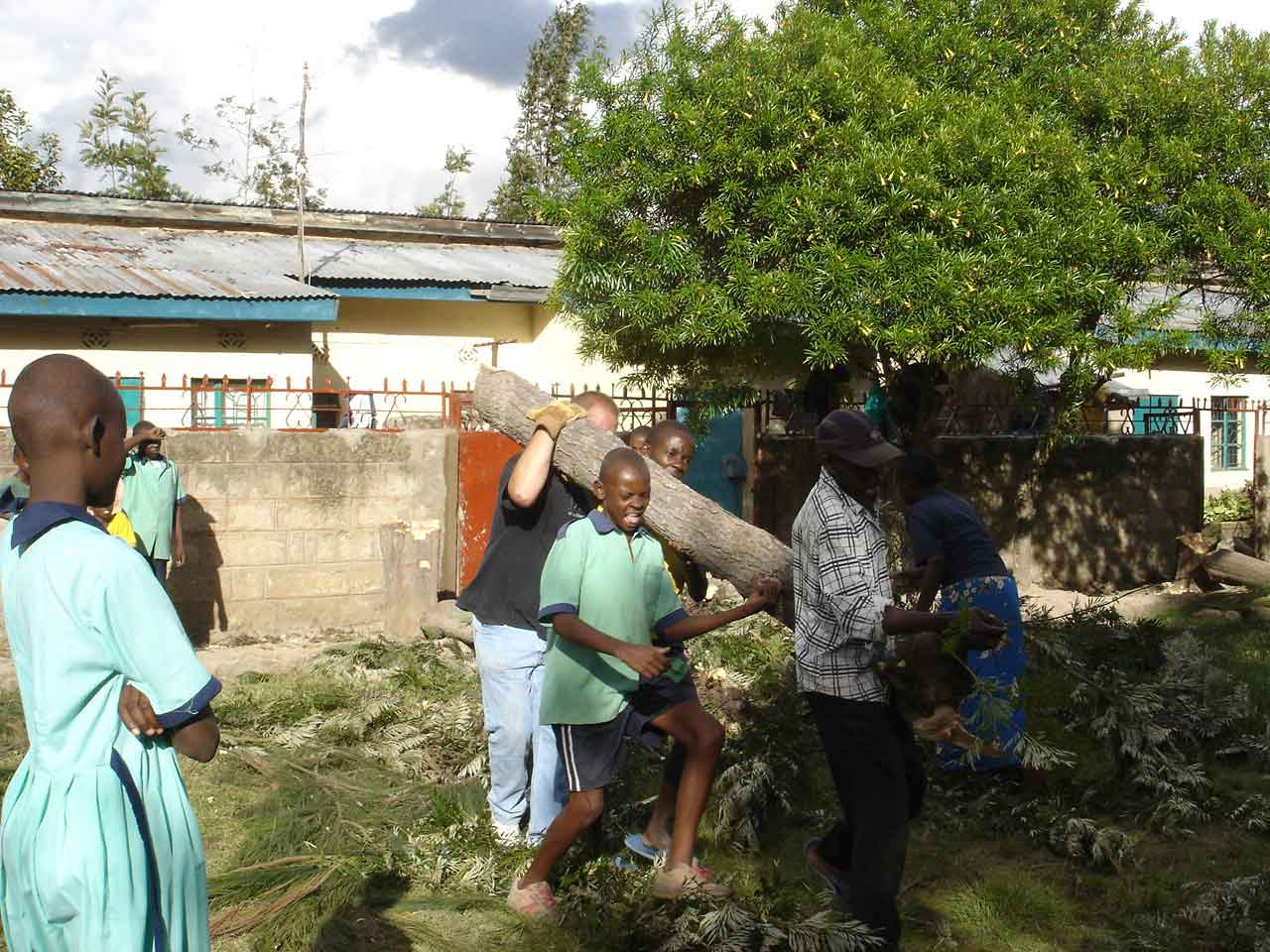 [cutting+down+trees+4-18+(3).jpg]