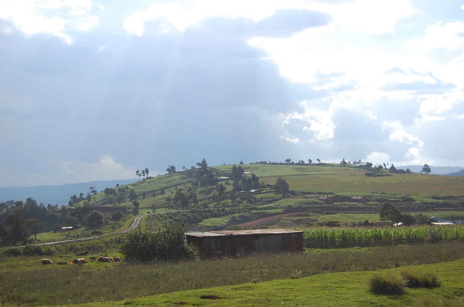 [on+the+road+to+eldoret+(2).jpg]