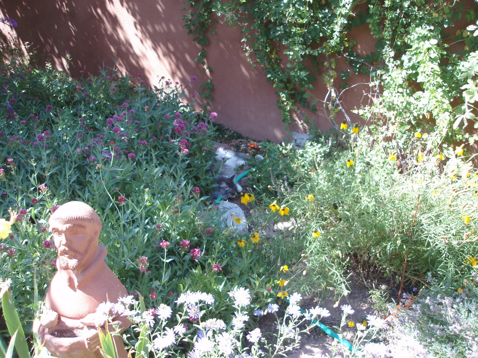 [Isabel+in+the+Secret+Garden.JPG]