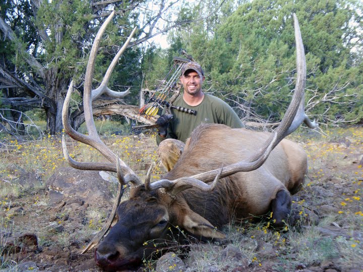 Craig%20Steele%20Bull%20Elk.jpg