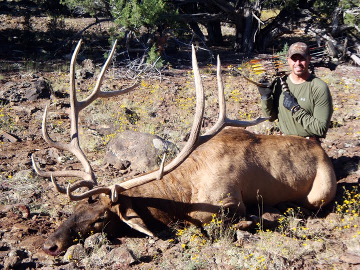 Craig%20Steele%20Bull%20Elk1.jpg