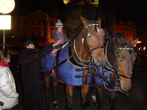 Tiny girl, huge horses in Prague