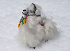 Brrrr, fait froid en Patagonie!