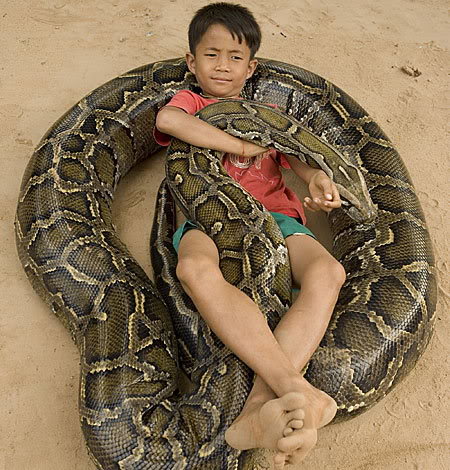 [python.jpg]