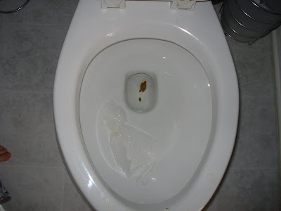 poop+001.jpg