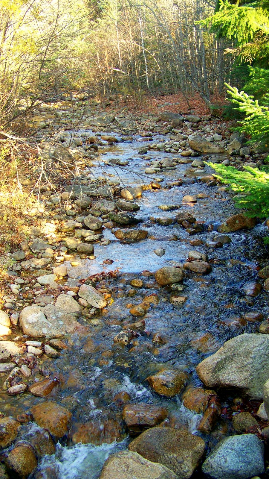 [river.jpg]
