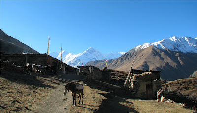 Letdar
